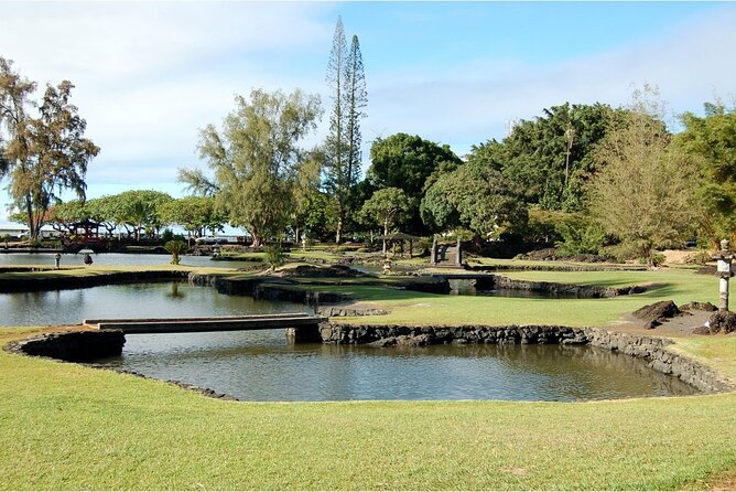 From Big island Hilo Private Volcanoes and Waterfalls Tour - Banyan Drive and the story written in trees