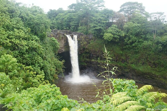 From Big island Hilo Private Volcanoes and Waterfalls Tour - Walking through Nāhuku Lava Tube