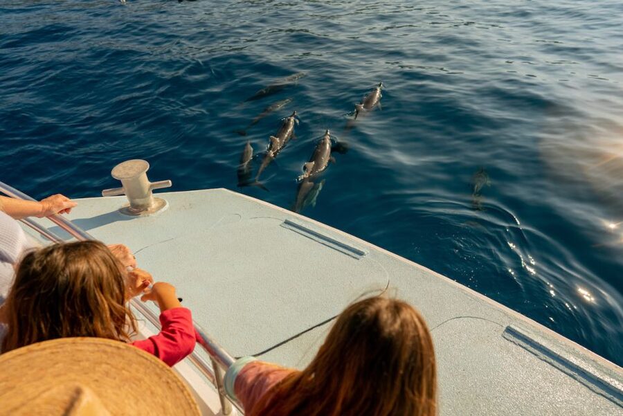 From Hawaii: Eco-Friendly Snorkeling Experience with BBQ - About two hours in the water, with plenty beyond snorkeling