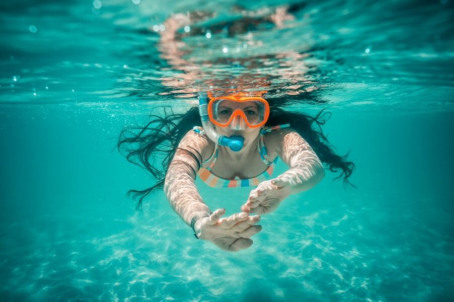 From Ka'anapali: West Maui Half-Day Snorkel Tour w/ Food - Starting at Whalers Village and Kaanapali Beach
