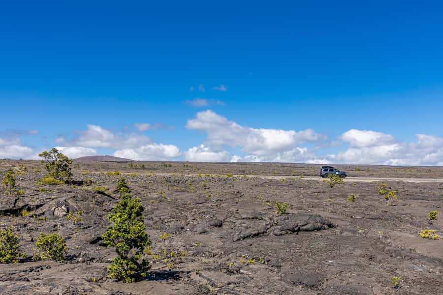 From Kailua-Kona: All-Inclusive Volcanoes National Park Tour - Key points to know before you book