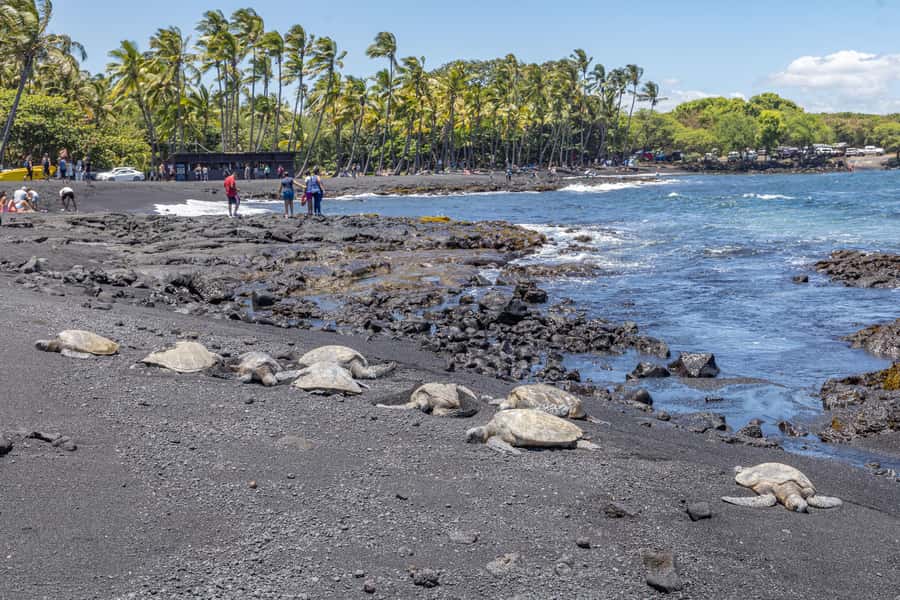 From Kailua-Kona: All-Inclusive Volcanoes National Park Tour - Halema‘uma‘u Crater and current volcanic activity