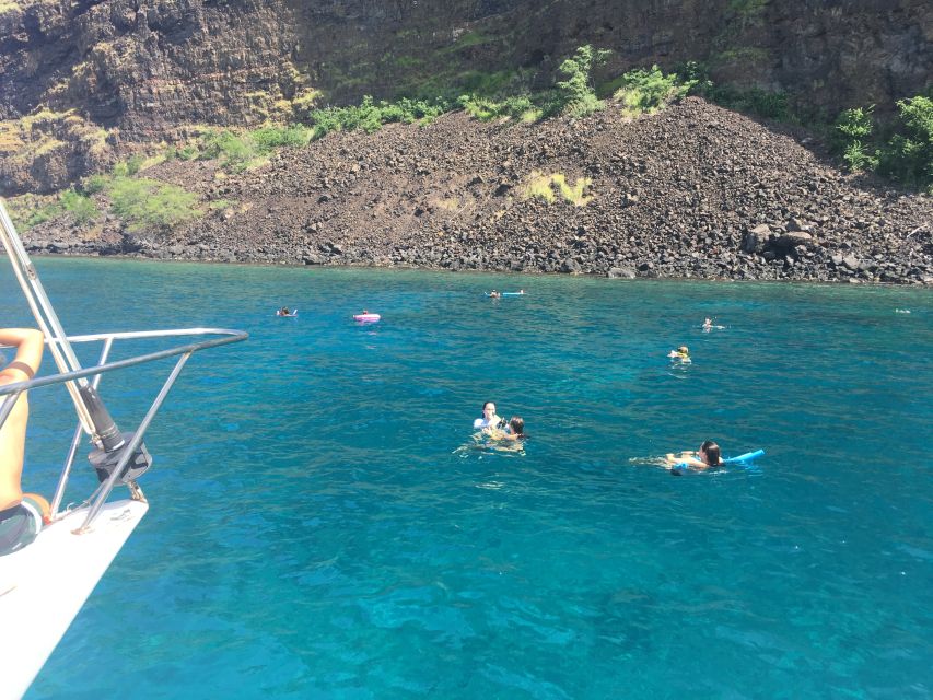 From Keauhou Bay: Snorkel Cruise to Captain Cook's Monument - Dolphins, whales, and the luck factor