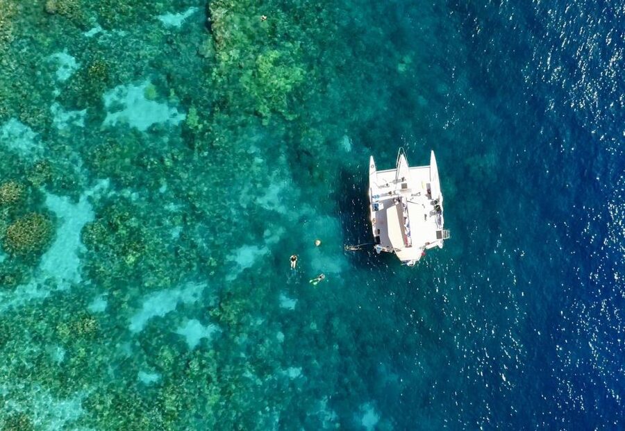 From Keauhou Bay: Snorkel Cruise to Captain Cook's Monument - The crew’s strongest role: making the water feel manageable