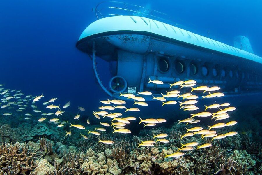 From Kona: Big Island Underwater Submarine Adventure - Key points to know before booking