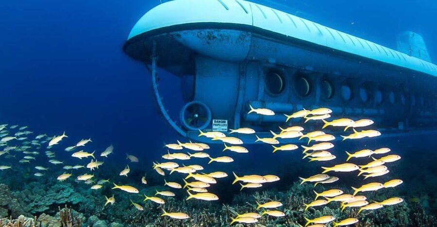 From Kona: Big Island Underwater Submarine Adventure - Boarding at King Kamehameha Kona Beach Hotel