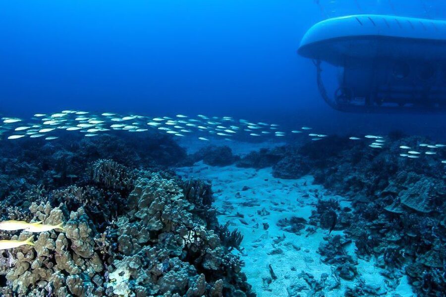 From Kona: Big Island Underwater Submarine Adventure - How the 90 minutes are divided