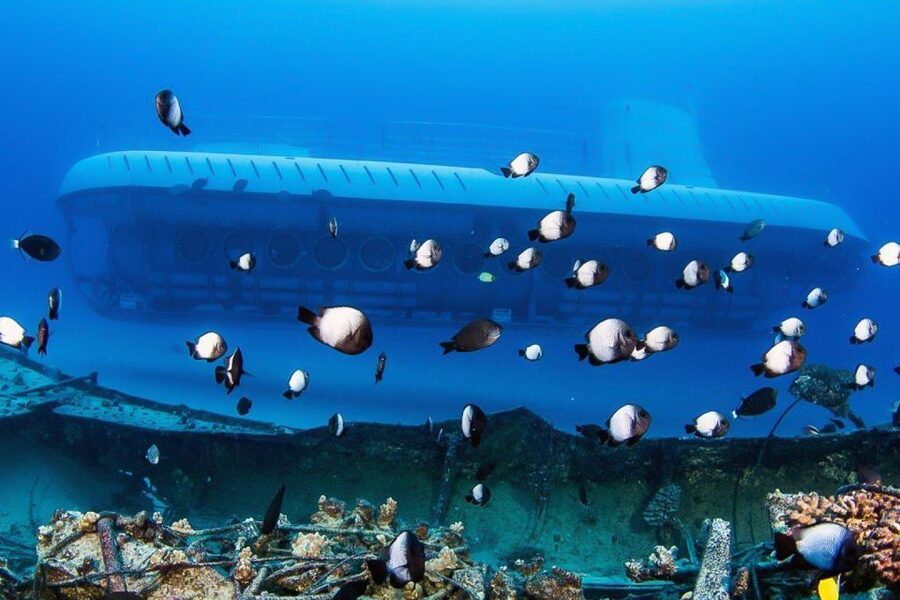 From Kona: Big Island Underwater Submarine Adventure - Who will enjoy this Kona submarine ride?