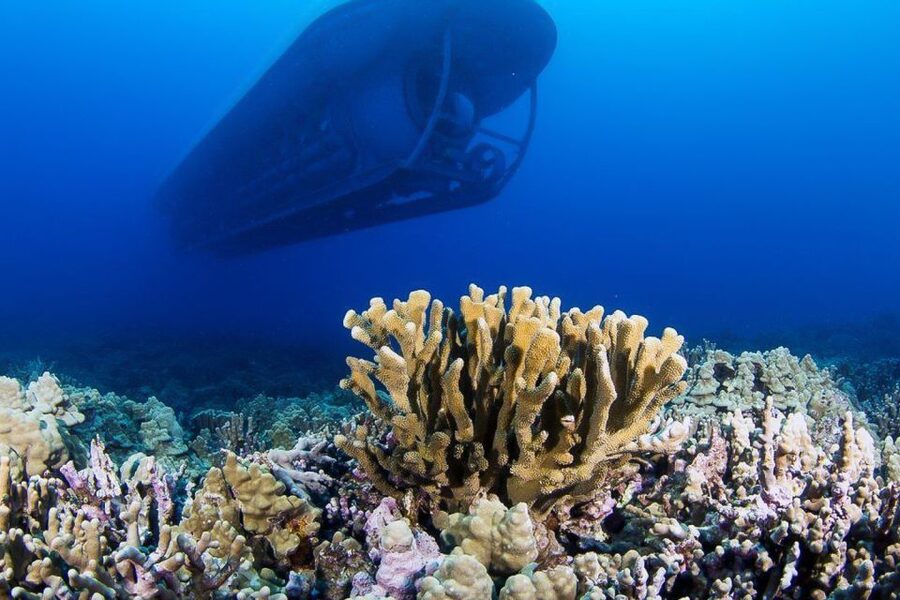 From Kona: Big Island Underwater Submarine Adventure - Inside the submarine at more than 100 feet