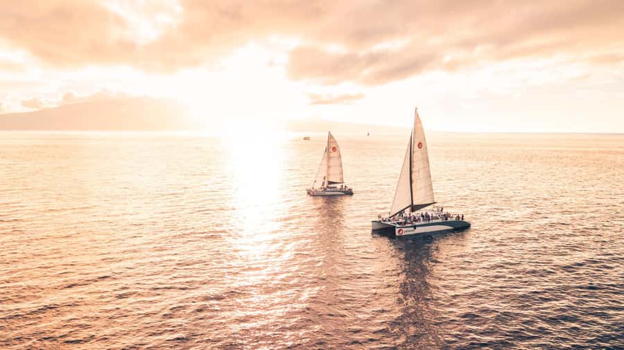From Ma'alaea: 'Alihilani Sunset Sail Catamaran Tour - Who will enjoy this sailing most