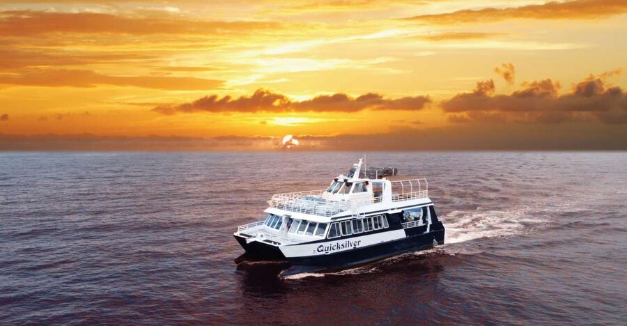 From Ma'alaea: Sunset Dinner Cruise Aboard the Quicksilver - Quick takeaways