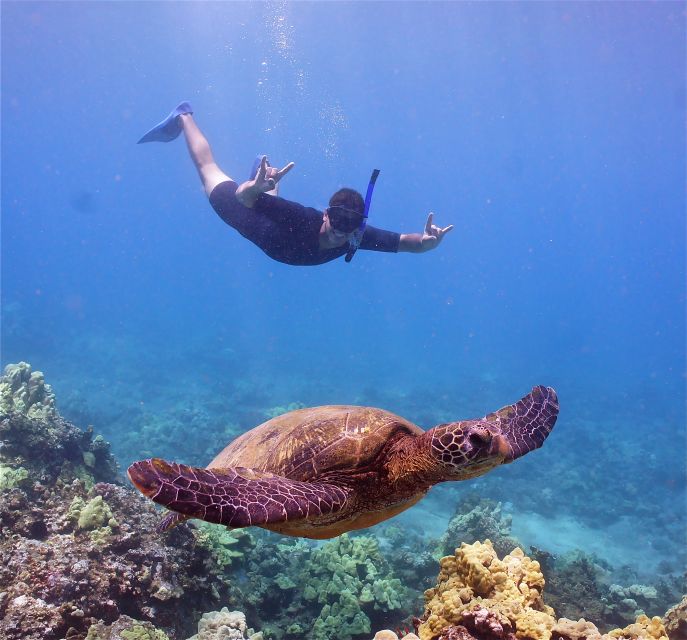 From Ma'alaea: Turtle Town Snorkel aboard Quicksilver - Turtle Town, Coral Gardens, and the underwater hour