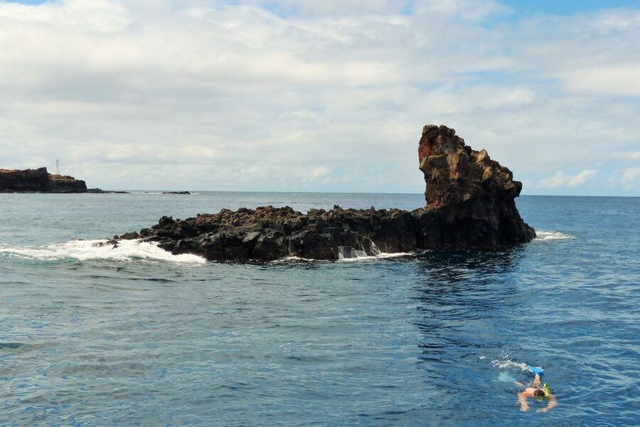 From Ma'alaea: Turtle Town Snorkel aboard Quicksilver - Lunch, drinks, and the ride home