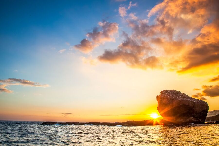 From Ma'alaea: Turtle Town Snorkel aboard Quicksilver - What $99 really gets you