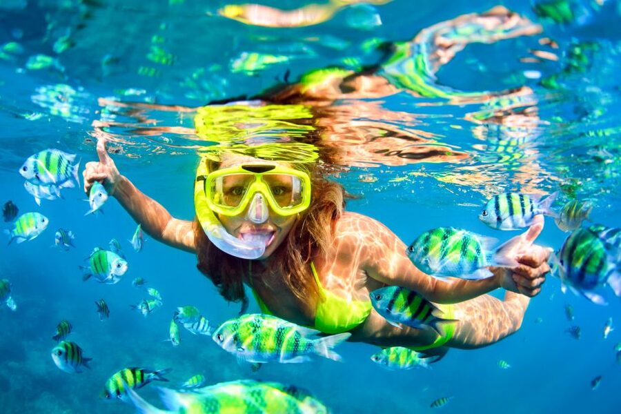 From Ma'alaea: Turtle Town Snorkel aboard Quicksilver - Who will enjoy this Quicksilver cruise