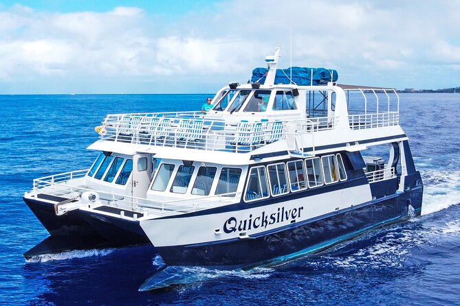 From Maalaea: Whale Watching Tour Aboard the Quicksilver - Key points to know before boarding