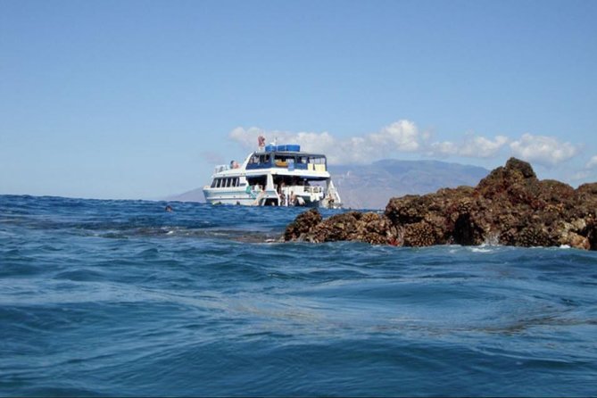From Maalaea: Whale Watching Tour Aboard the Quicksilver - Is $49.95 a fair price?