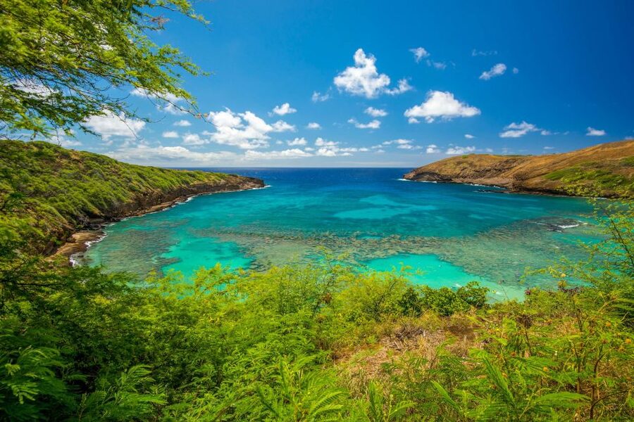 From Waikiki: Best of Oahu Photo Tour with Pickup - Lunch at Ono Steaks & Shrimp Shack