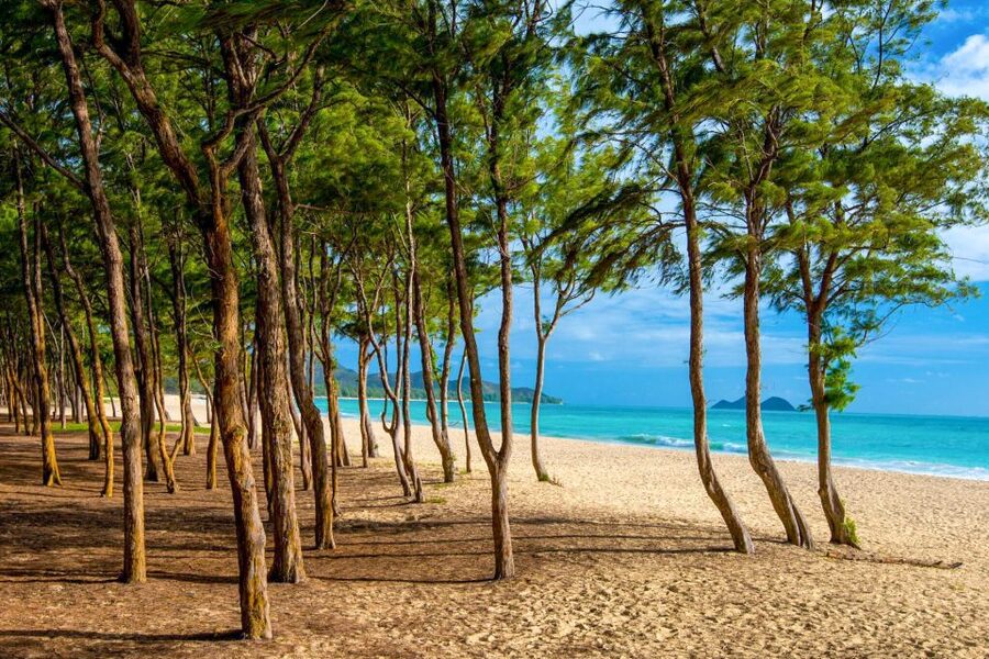 From Waikiki: Best of Oahu Photo Tour with Pickup - Makapuʻu Point and east Oahu’s sea cliffs