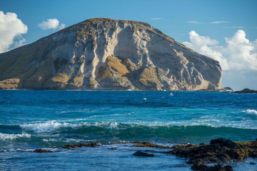 From Waikiki: Best of Oahu Photo Tour with Pickup - Sandy Beach and Halona Blowhole