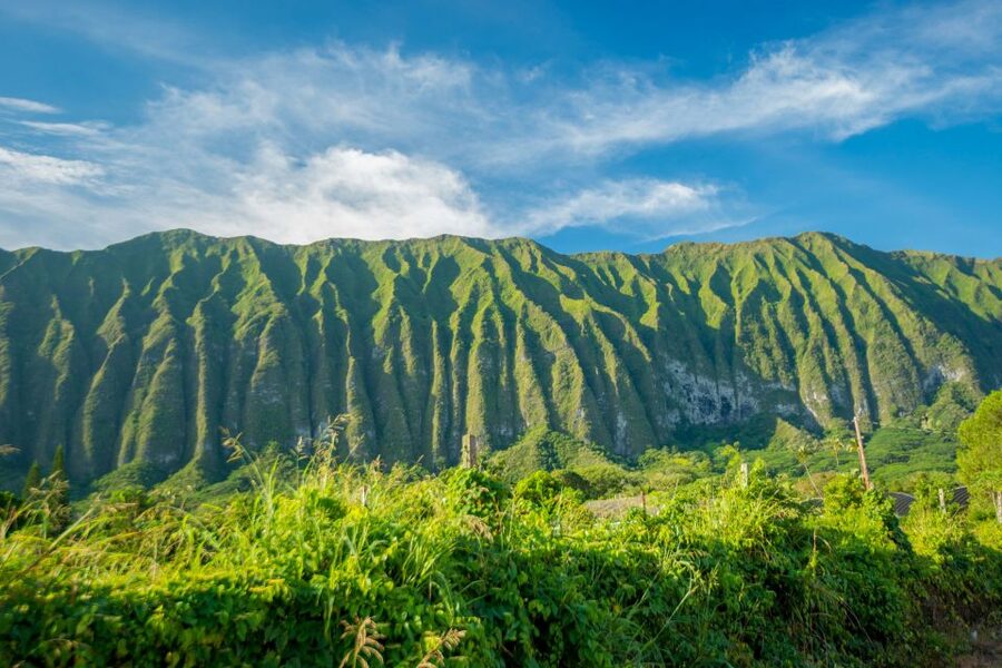 From Waikiki: Best of Oahu Photo Tour with Pickup - Ending with a Leonard’s malasada