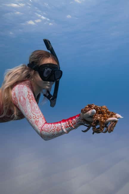 From Waikiki: Turtle Canyon Snorkeling Tour - Gear, drinks, and what you should pack