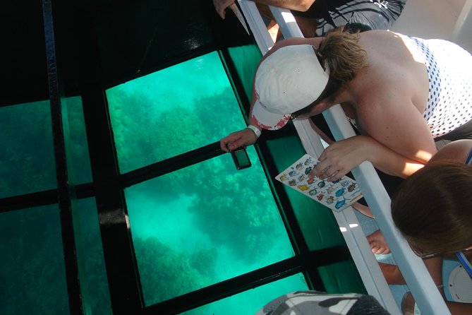 Glass-Bottom Boat Cruise from Waikoloa - A short boat ride with a clear purpose