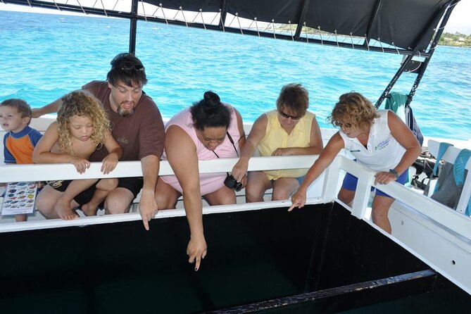 Glass-Bottom Boat Cruise from Waikoloa - What you see through the glass