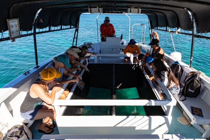 Glass-Bottom Boat Cruise from Waikoloa - Boarding means walking through shoreline water
