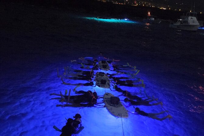 Glow of the Deep: Night Snorkeling with Manta Rays - Why Kona’s manta rays are worth seeing after dark