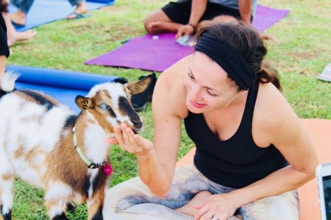 Goat Yoga with Miniature Goats In Maui - Goats first, yoga second in upcountry Maui
