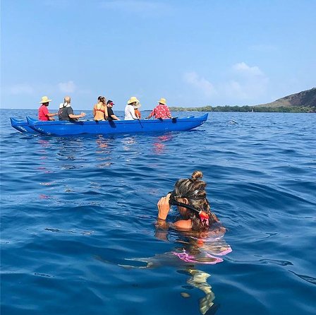Guided Outrigger Canoe Tour in Kealakekua Bay - Is $155 a fair price?