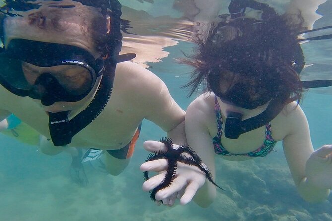Guided Snorkel Tour for Beginners in Honolulu - A calm reef, with realistic expectations