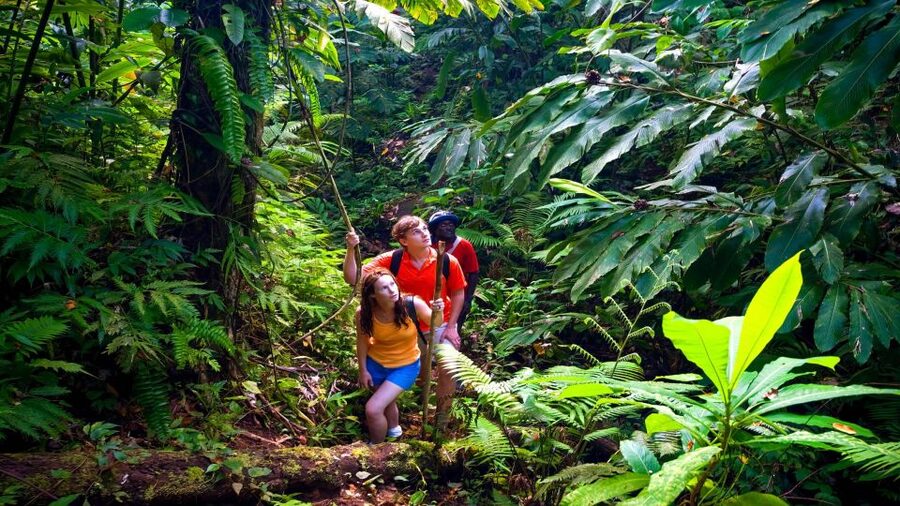 Haiku: Waterfall, Rainforest, and Handcrafted Chocolate Tour - The waterfall stop and the appeal of less driving
