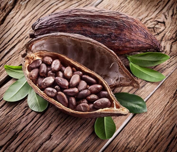 Haiku: Waterfall, Rainforest, and Handcrafted Chocolate Tour - Who will enjoy this outing most
