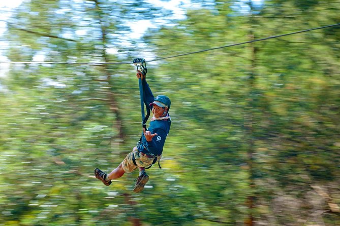 Haleakala 6 Line Zipline Adventure - Key points before you book