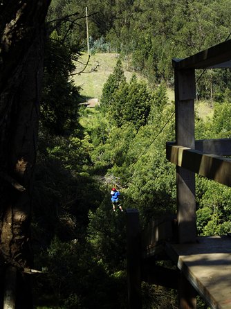 Haleakala 6 Line Zipline Adventure - How to plan the day around Haleakala