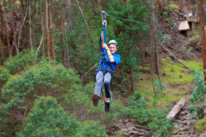 Haleakala 6 Line Zipline Adventure - Guides add local context and calm the nerves