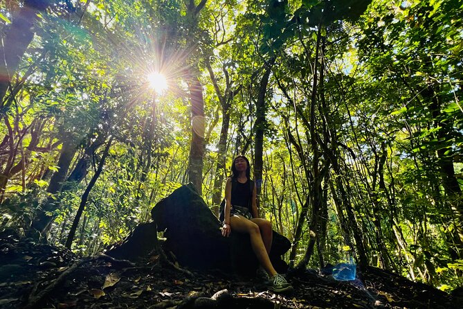 Half-Day Waterfall Tour - Hike, Scenic, Food and Photo - What the 8:00 a.m. Waikiki pickup adds