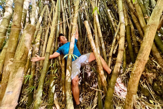 Half-Day Waterfall Tour - Hike, Scenic, Food and Photo - Two falls, fresh water, and a photo stop