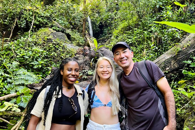 Half-Day Waterfall Tour - Hike, Scenic, Food and Photo - Poke, snacks, and the real cost of the morning