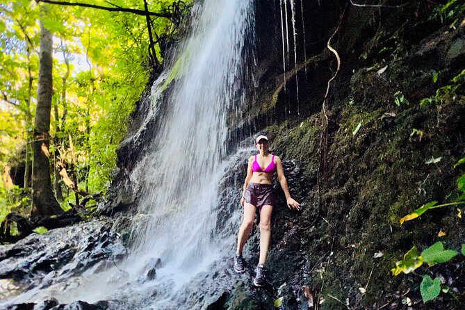 Half-Day Waterfall Tour - Hike, Scenic, Food and Photo - Who should book this Honolulu tour
