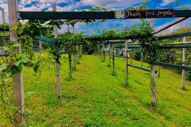 Hamakua Coast Farm Small-Group Walking and Tasting Tour - Key points to know before you go