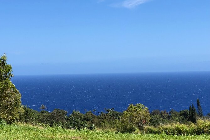 Hamakua Coast Farm Small-Group Walking and Tasting Tour - A farm visit built around lilikoi and renewal