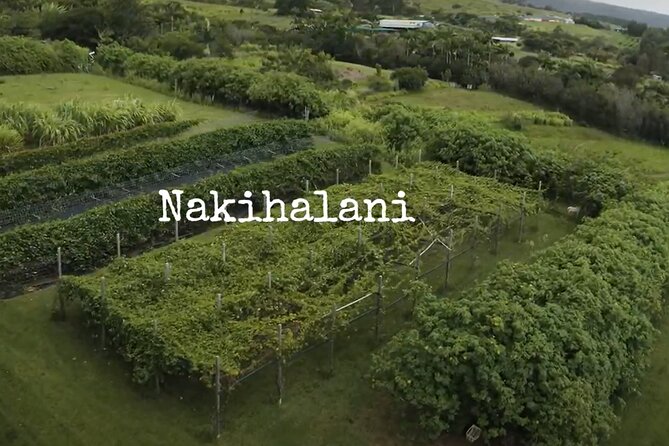 Hamakua Coast Farm Small-Group Walking and Tasting Tour - The tasting: sweet lilikoi, Mamaki tea, and sugar cane juice