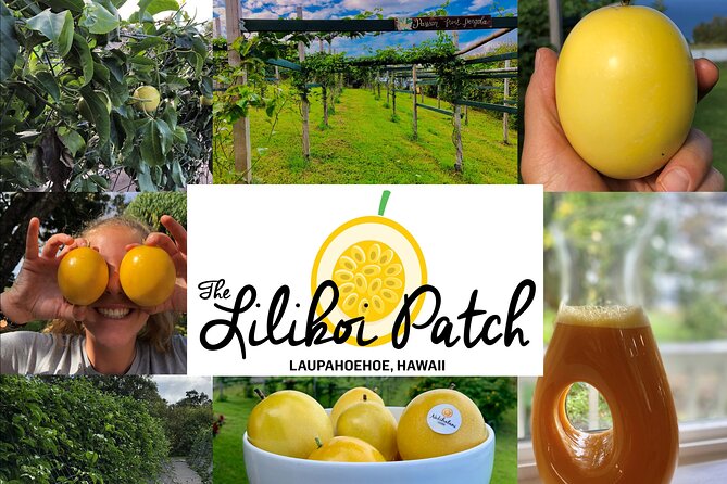 Hamakua Coast Farm Small-Group Walking and Tasting Tour - Leave room for a farm breakfast or lunch