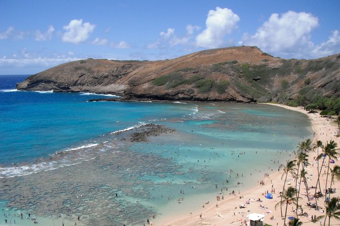 Hanauma Bay Guided Snorkel Tour (with guaranteed entrance time) - What happens from the entrance to the reef