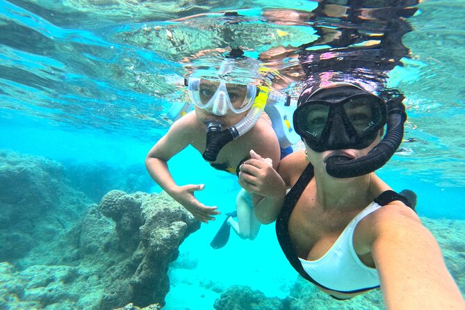 Hanauma Bay Guided Snorkel Tour (with guaranteed entrance time) - Who should choose this Hanauma Bay outing?