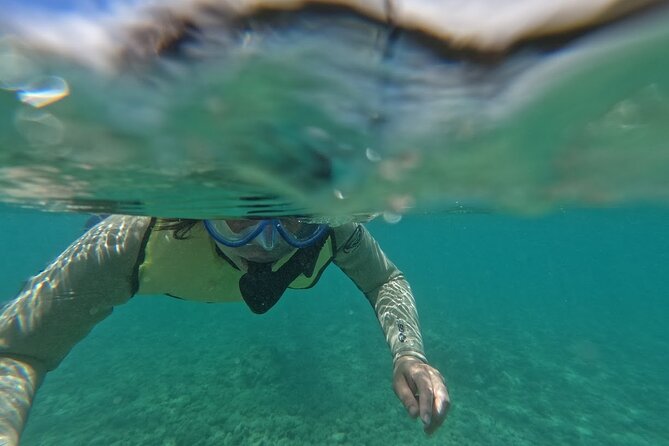 Hanauma Bay Guided Snorkeling Tour with Transportation - Key points to know before booking