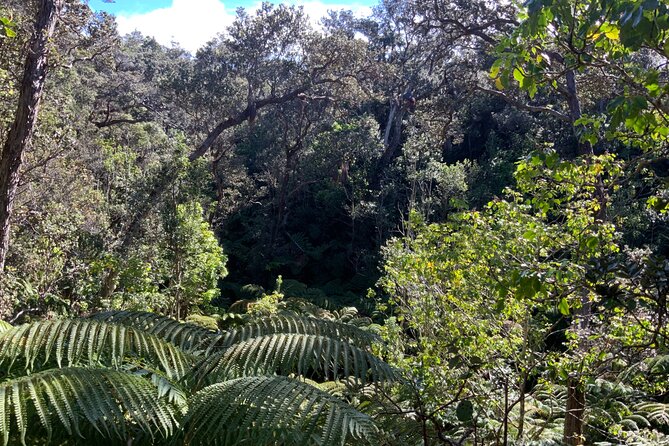 Hawai'i's Volcanoes National Park from Hilo Only - Who should book this Hilo excursion?